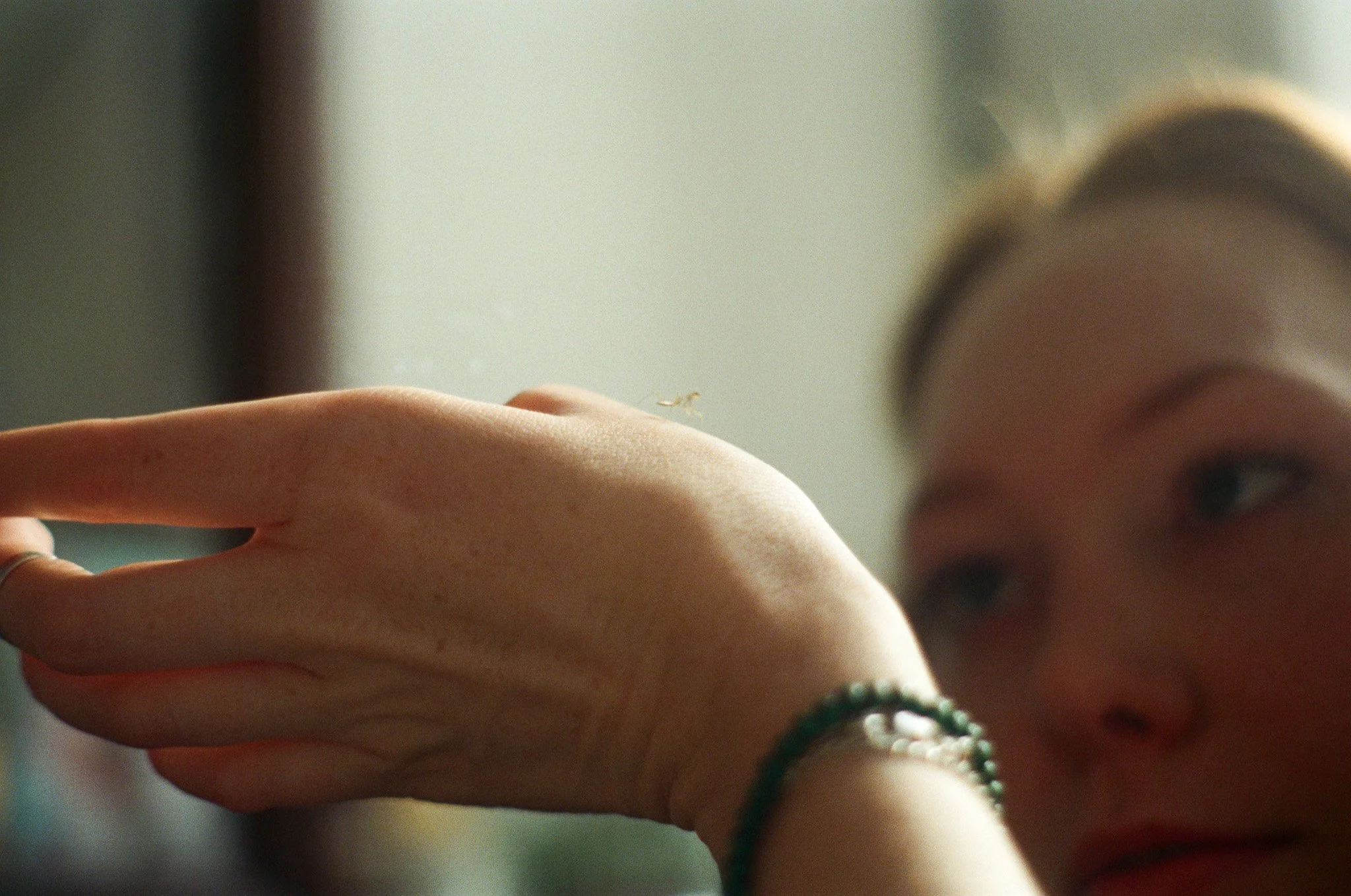 250410 Film Clarity Praying Mantis Babies 5.jpg