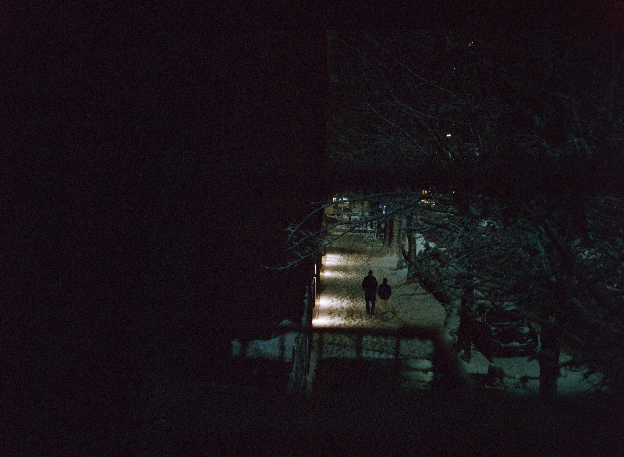 250201 Film Brooklyn Winter_008.jpg