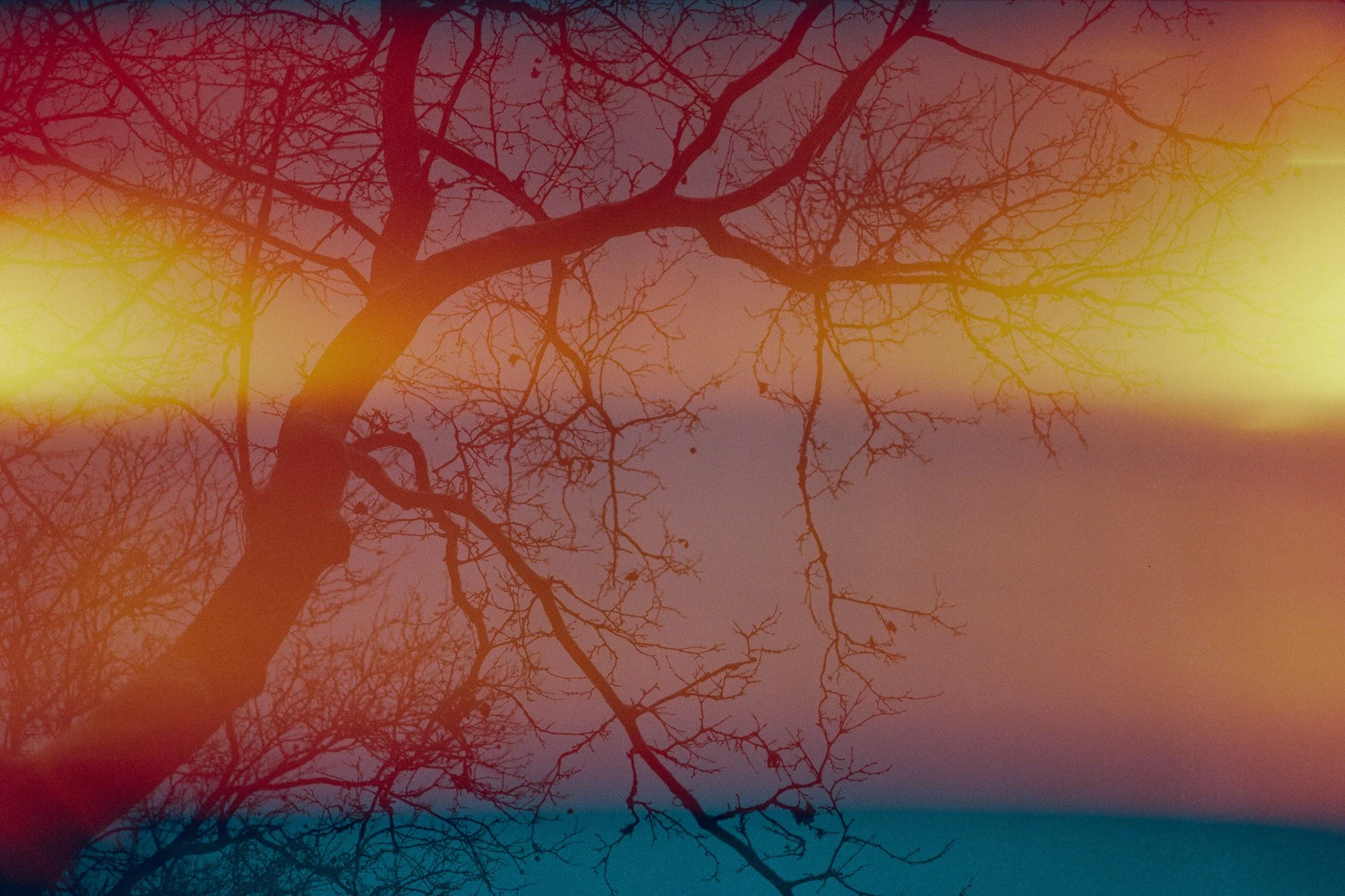 250201 Film Brooklyn Winter_003.jpg