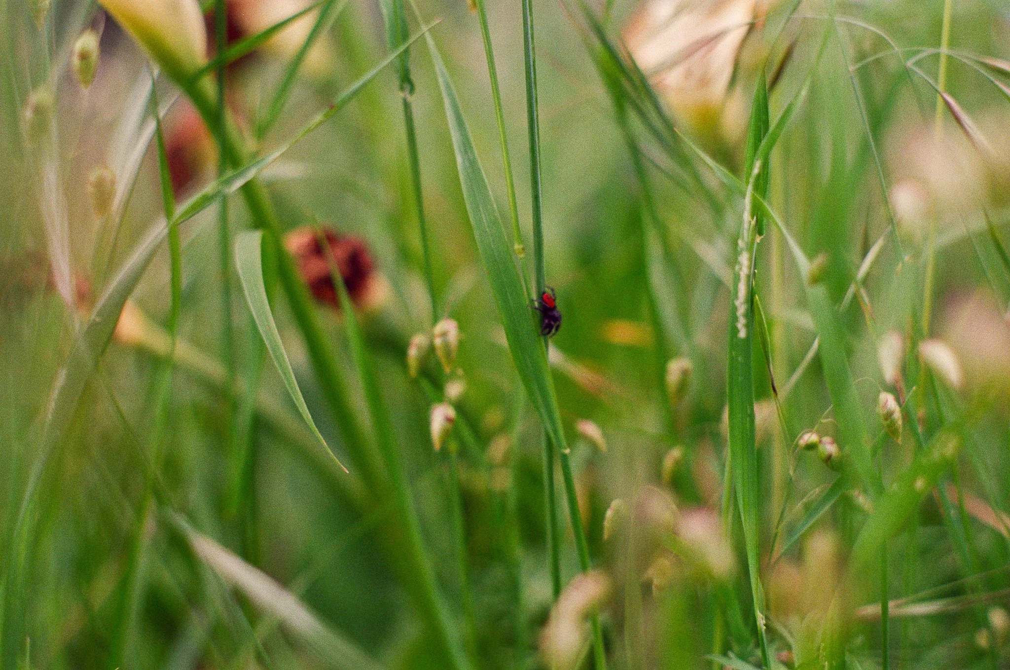 250417 Film Sebastopol Retreat 22.jpg