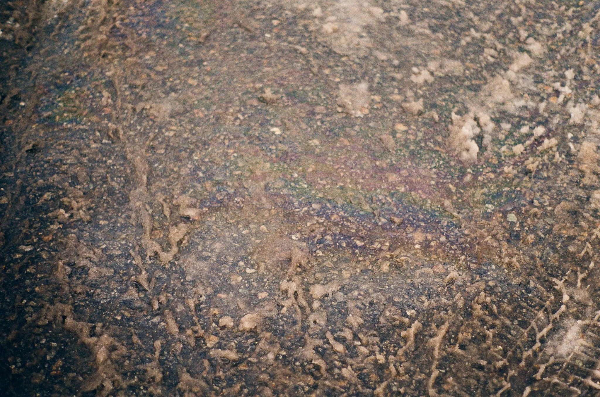 250117 Telfar Bathtub Brooklyn Night Lake Placid 25.jpg