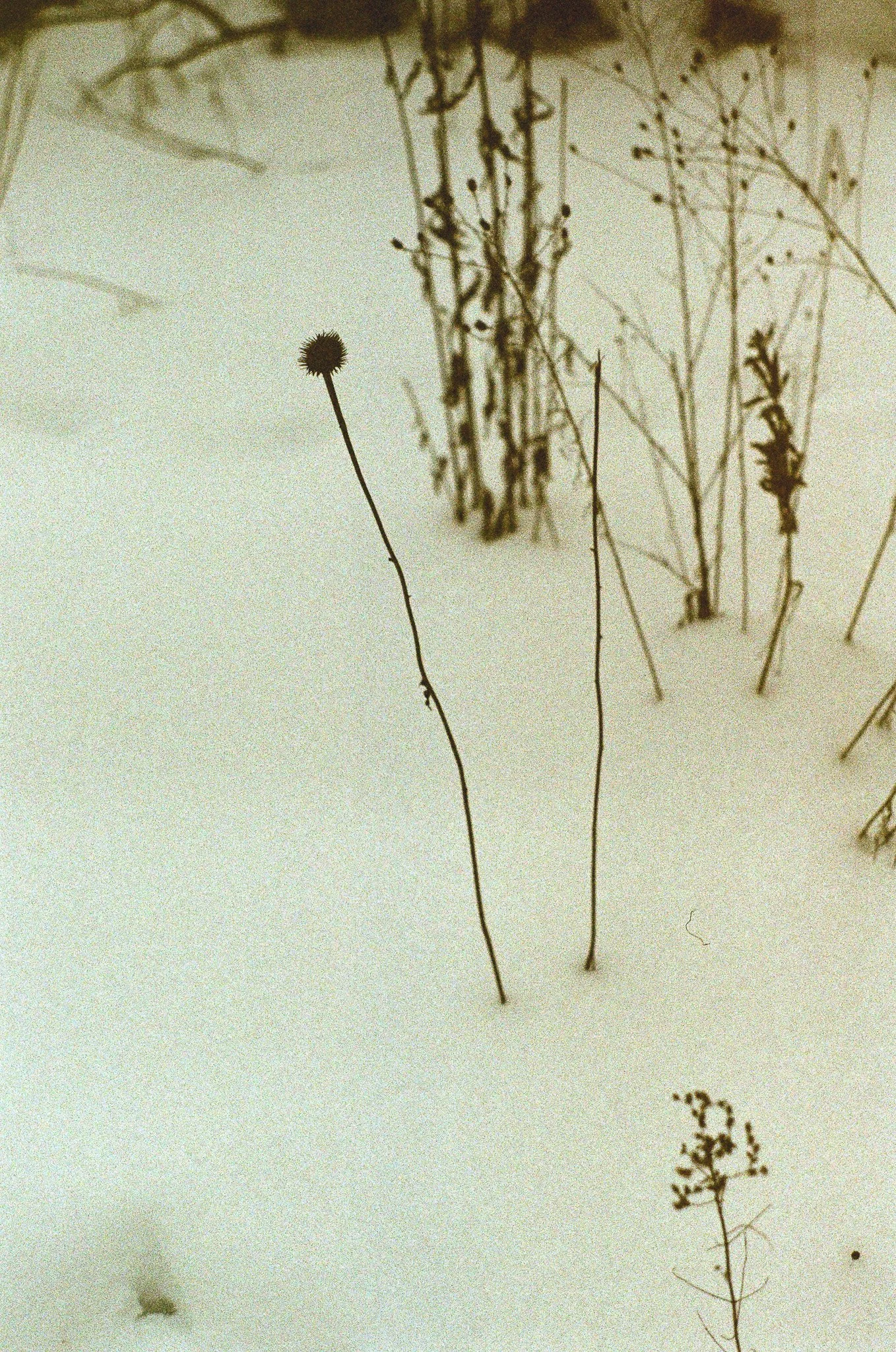 250118 Winter Home Brooklyn Adirondacks 23.jpg