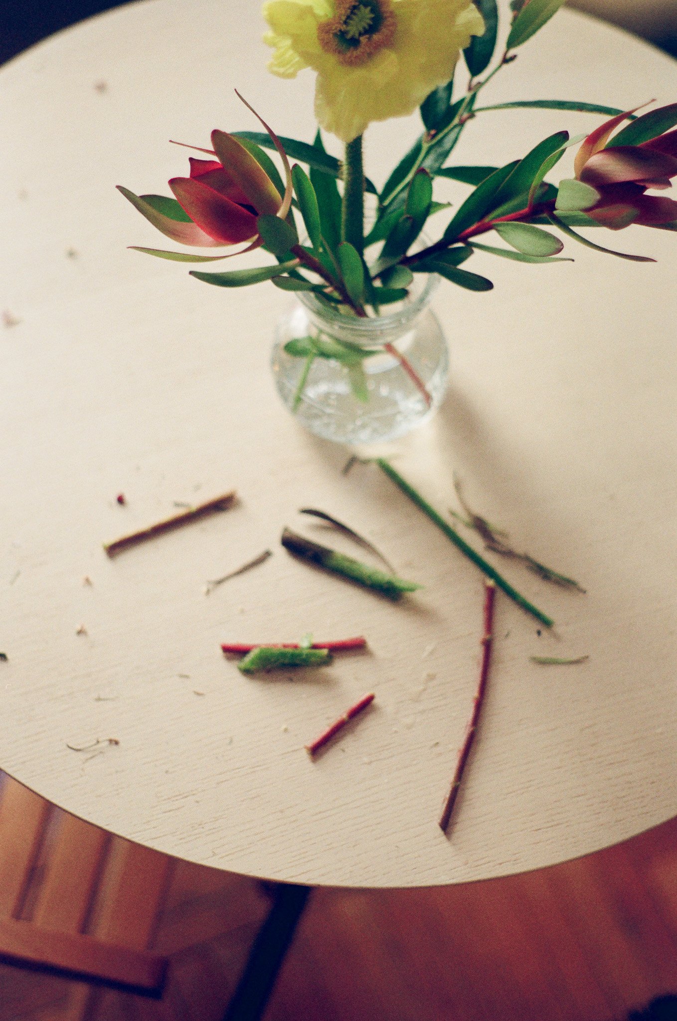 250215 Film Sofia Ellen Waterfront Orchids 26.jpg