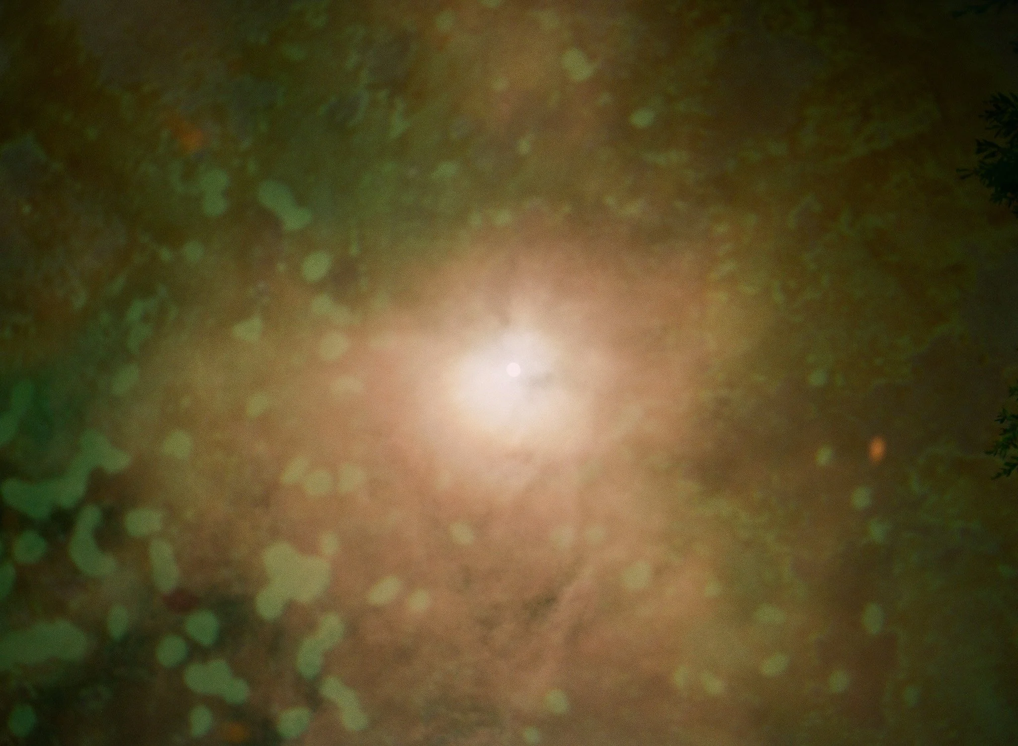 250417 Film Medium Format Sebastopol Retreat 29.jpg