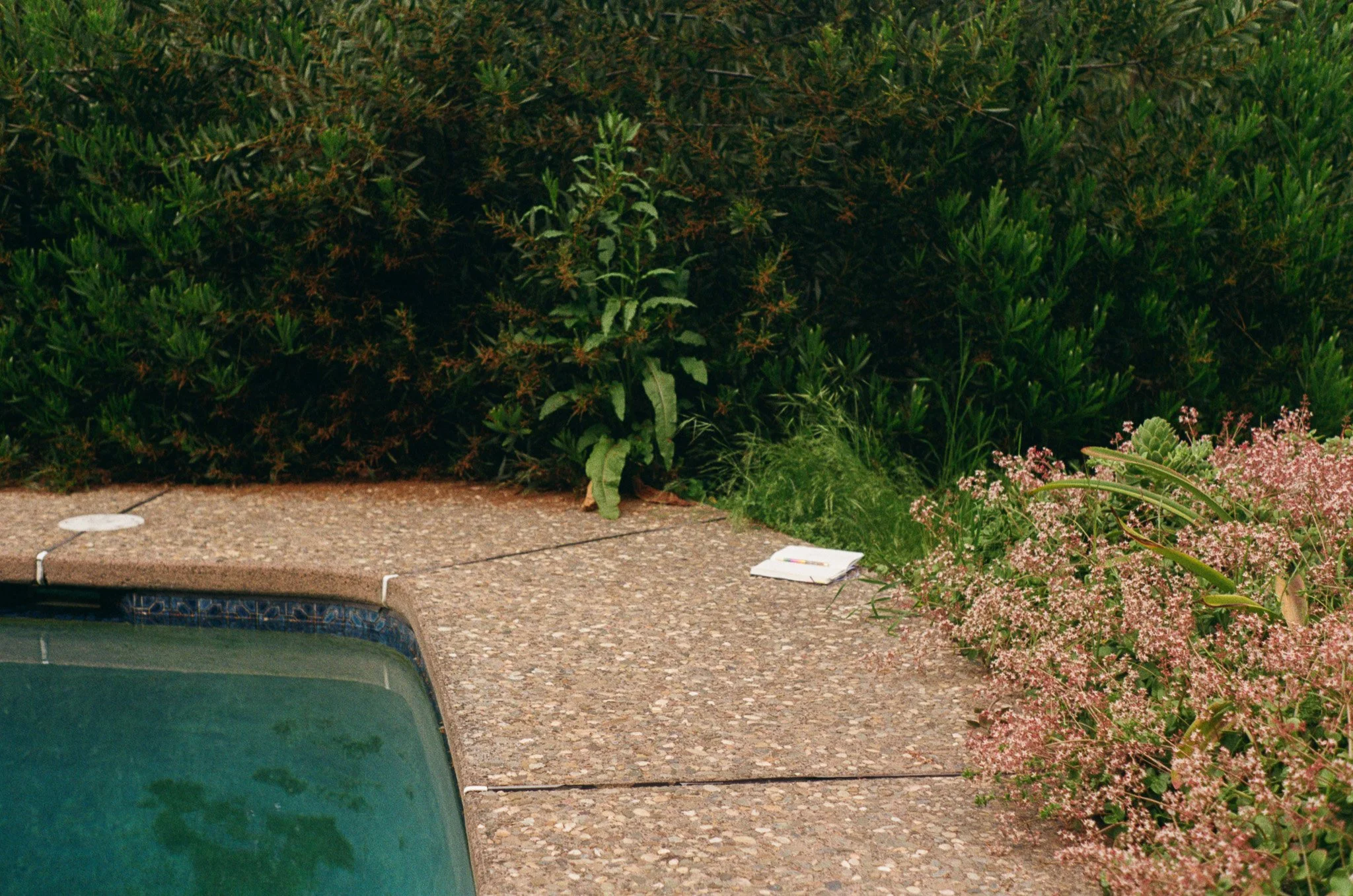 250416 Film Sebastopol Retreat 5.jpg