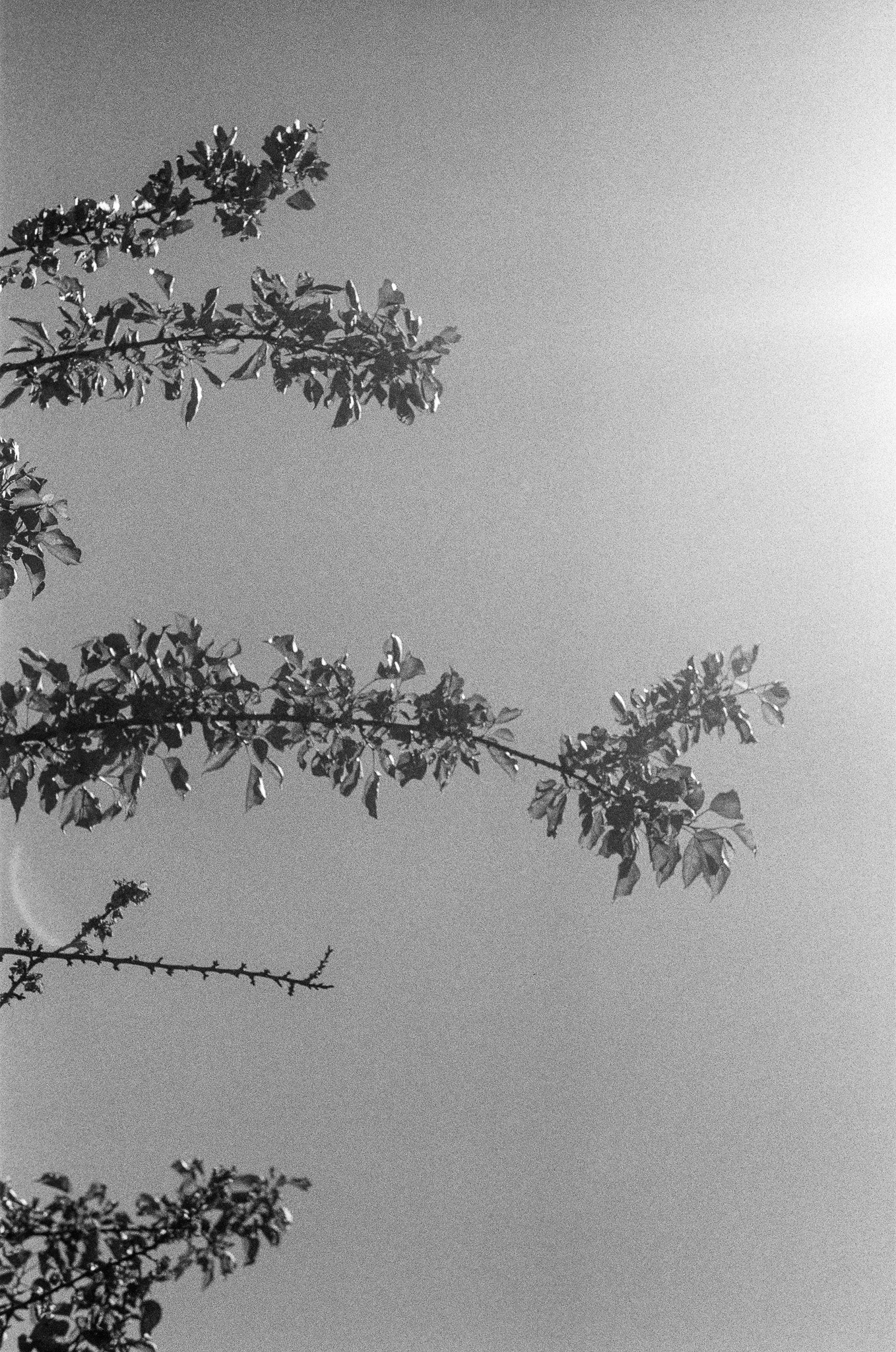 250417 Film Sebastopol Retreat 46.jpg