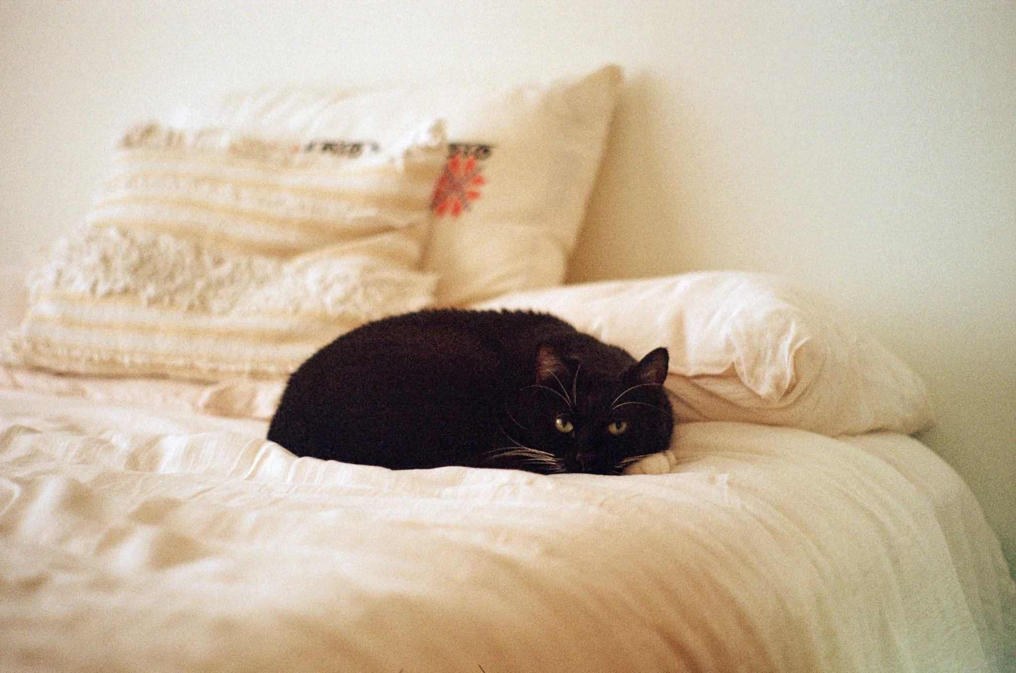 250615 Film Mexico City 7.jpg