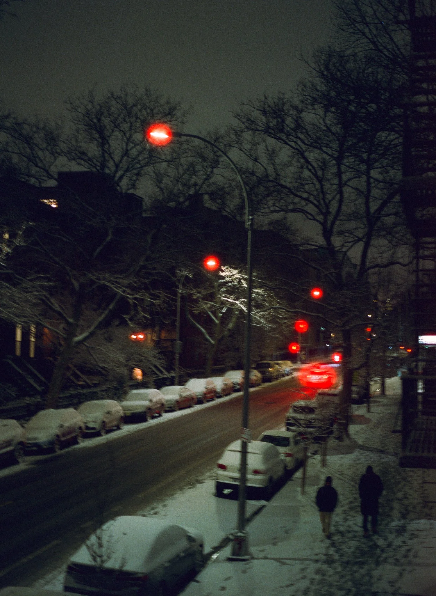 250201 Film Brooklyn Winter_006.jpg