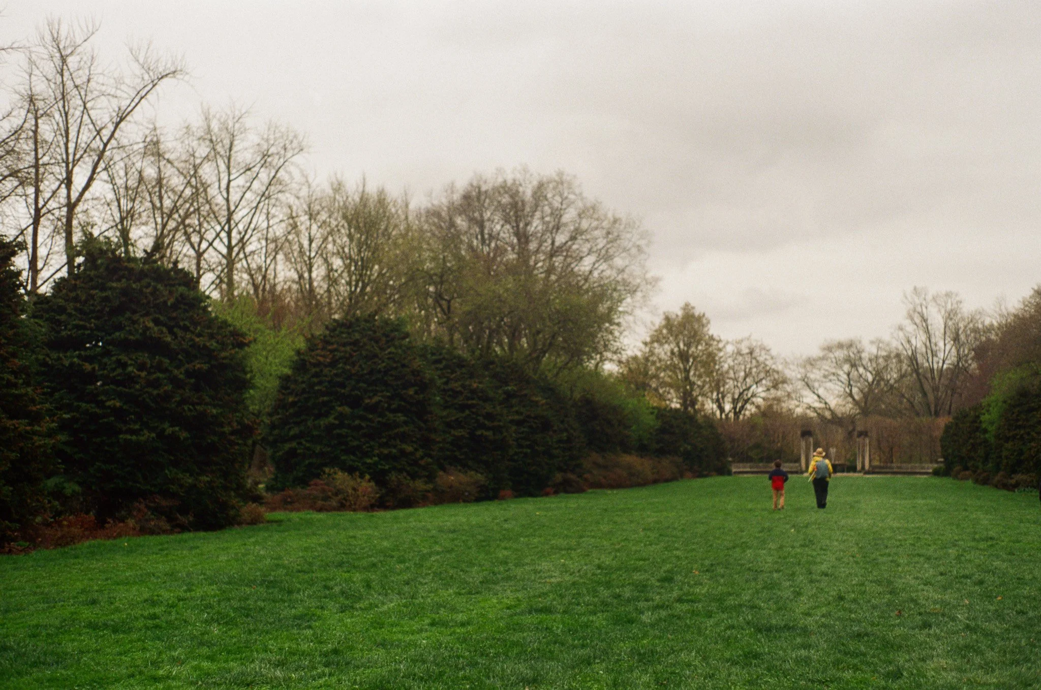 250406 Film Botanical Gardens 1.jpg