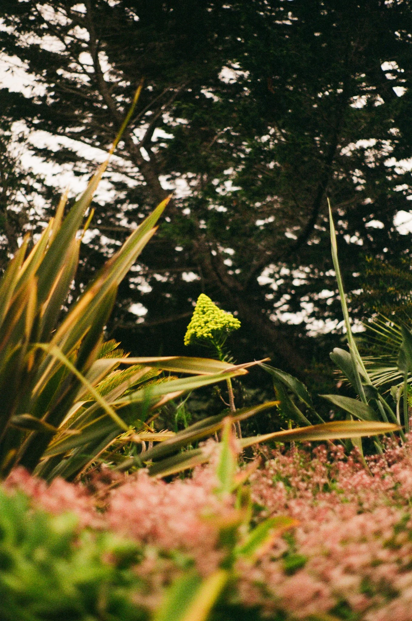 250416 Film Sebastopol Retreat 9.jpg