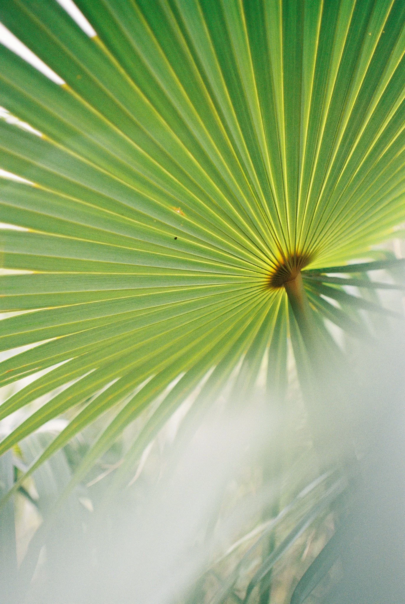 210404 Saint Thomas Film 123 copy.jpg