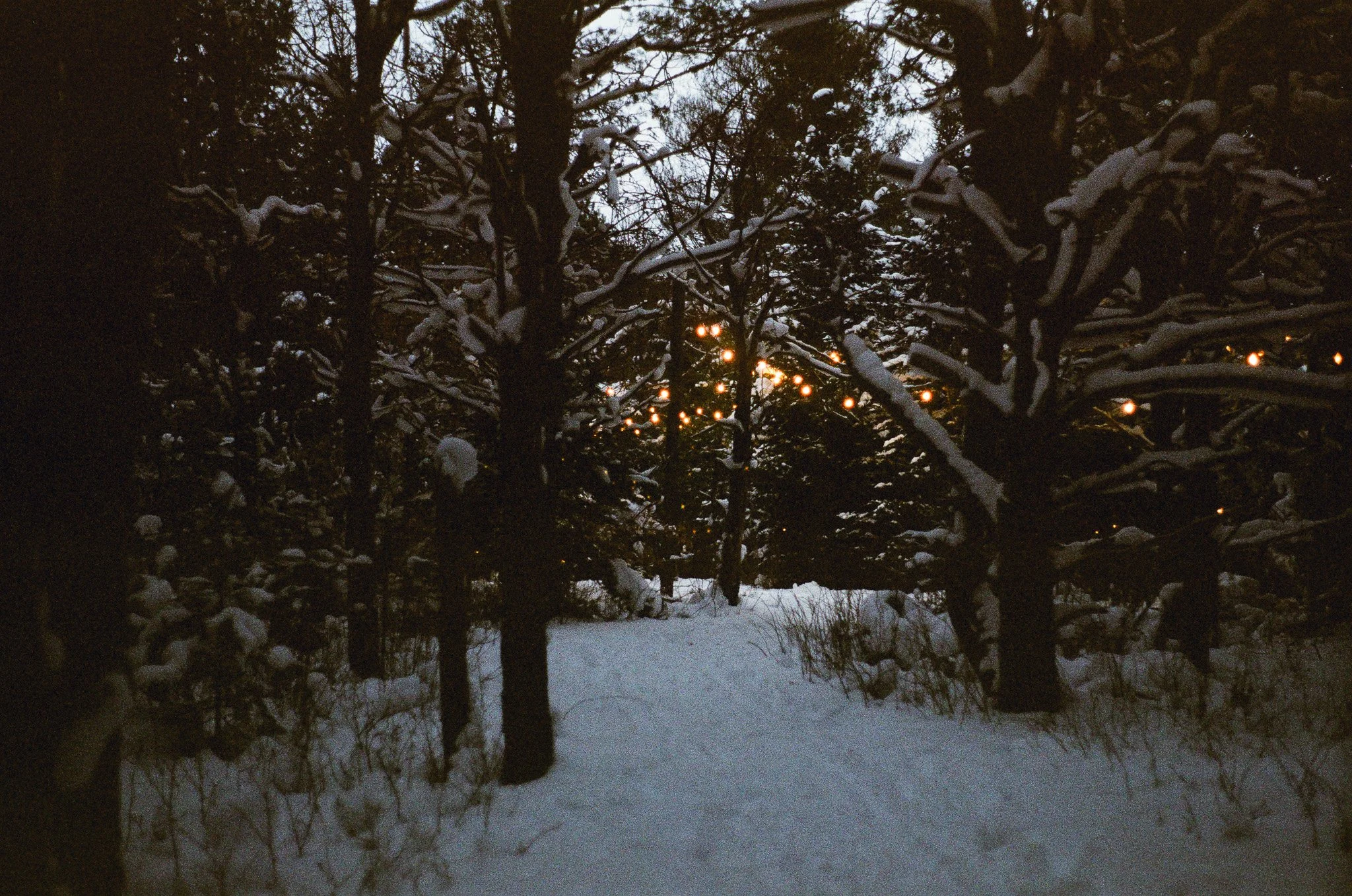 250118 Winter Home Brooklyn Adirondacks 28.jpg