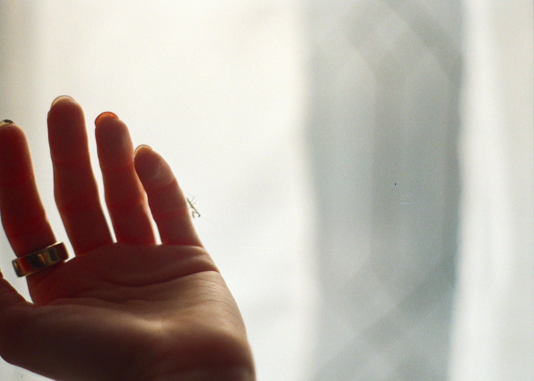 250410 Film Clarity Praying Mantis Babies 7.jpg