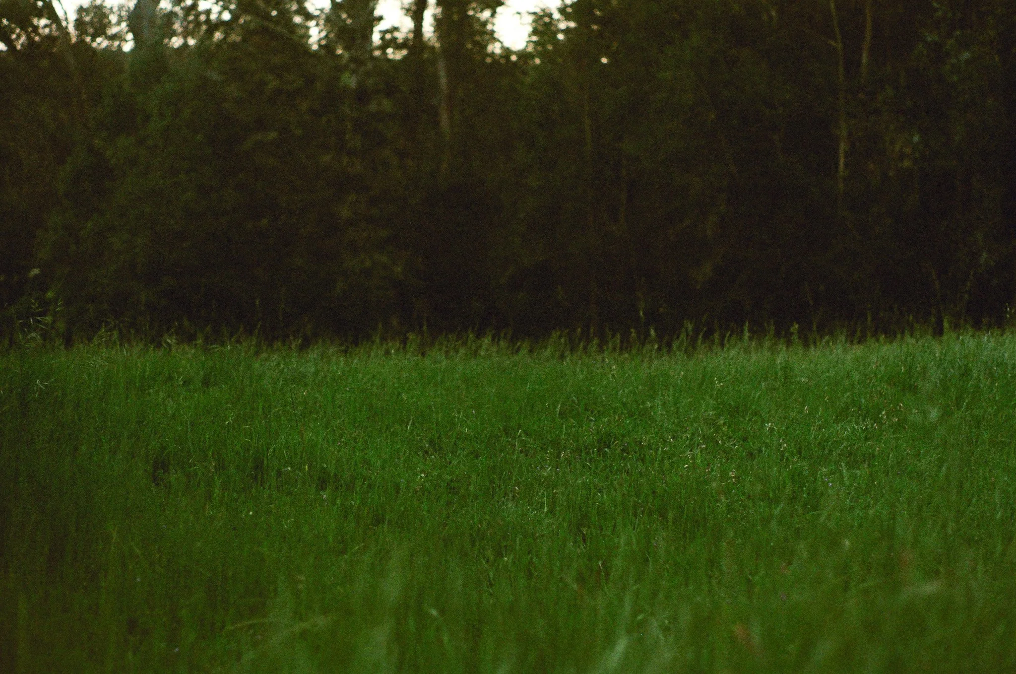 250417 Film Sebastopol Retreat 30.jpg