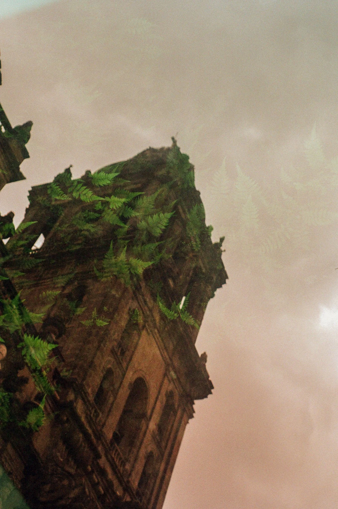 250615 Film Mexico City 25.jpg