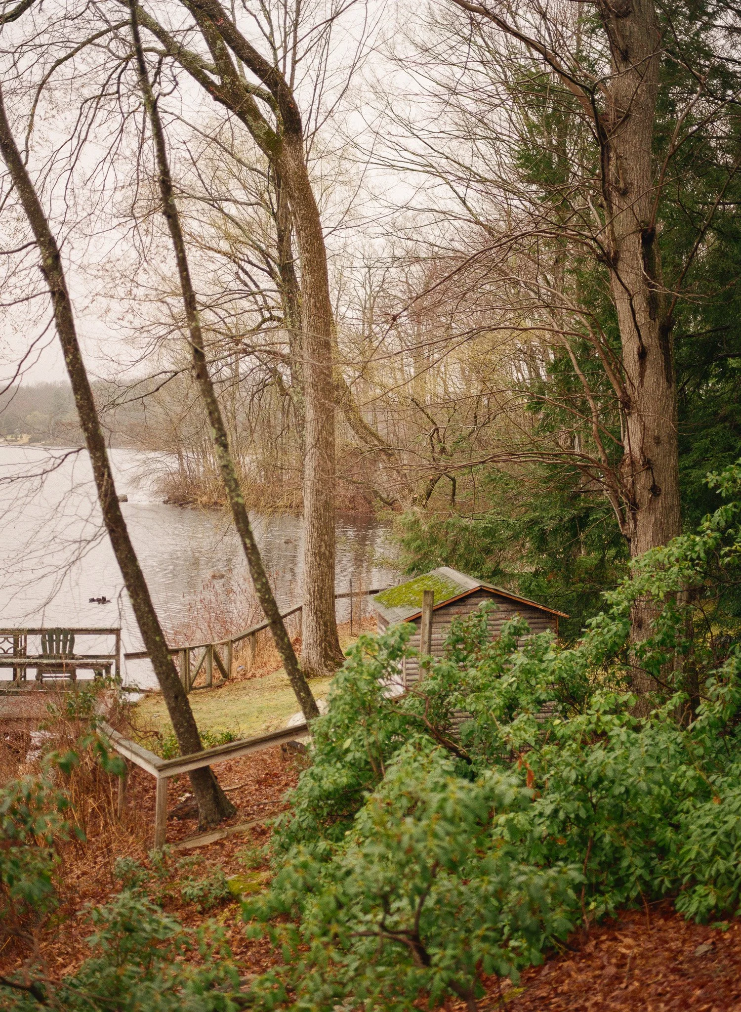 250401 Film Upstate Medium Format 14.jpg