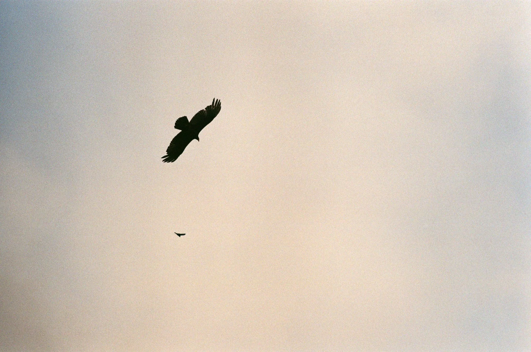 250416 Film Sebastopol Retreat 15.jpg