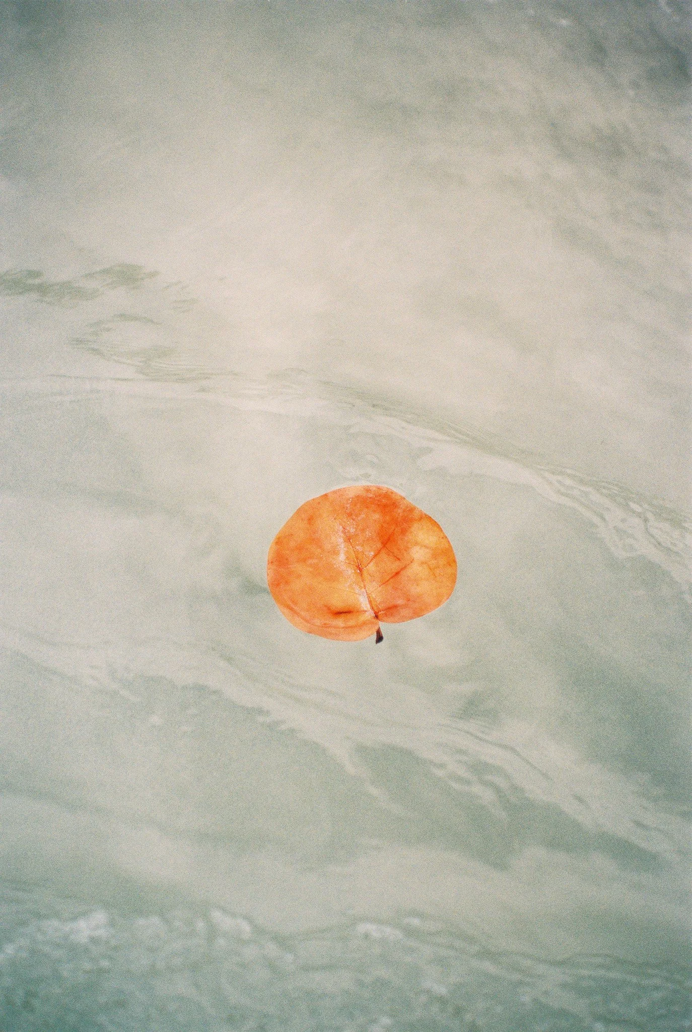 2021 Honest Stories Co Custom Content10 copy.jpg