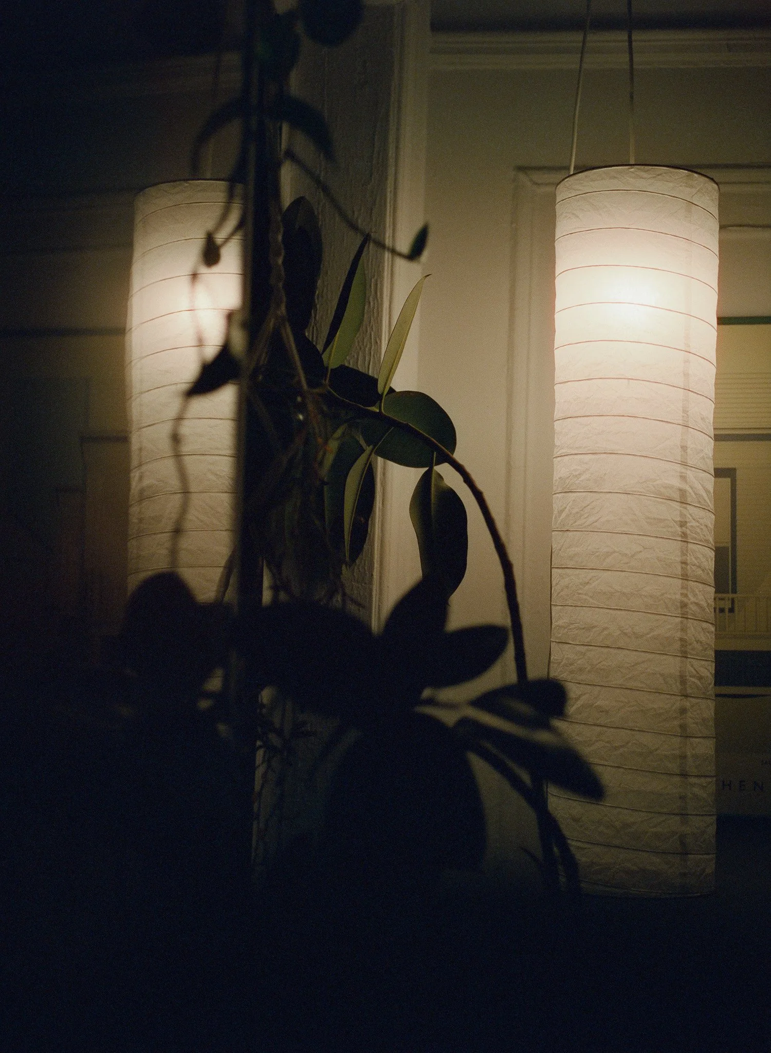 250201 Film Brooklyn Winter_009.jpg