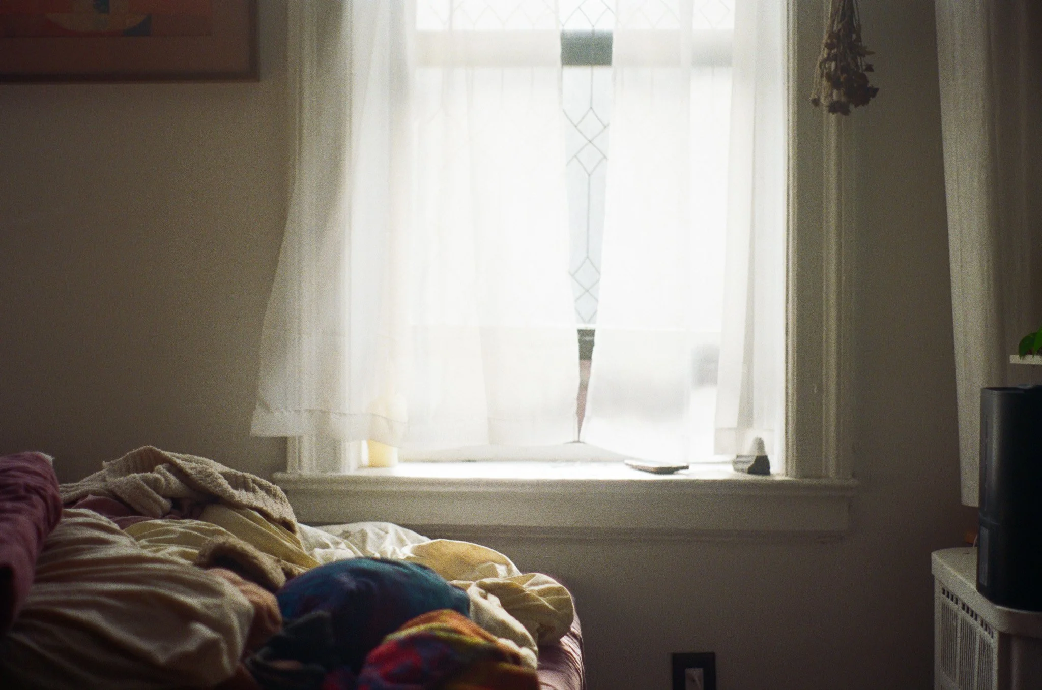 250410 Film Clarity Praying Mantis Babies 1.jpg