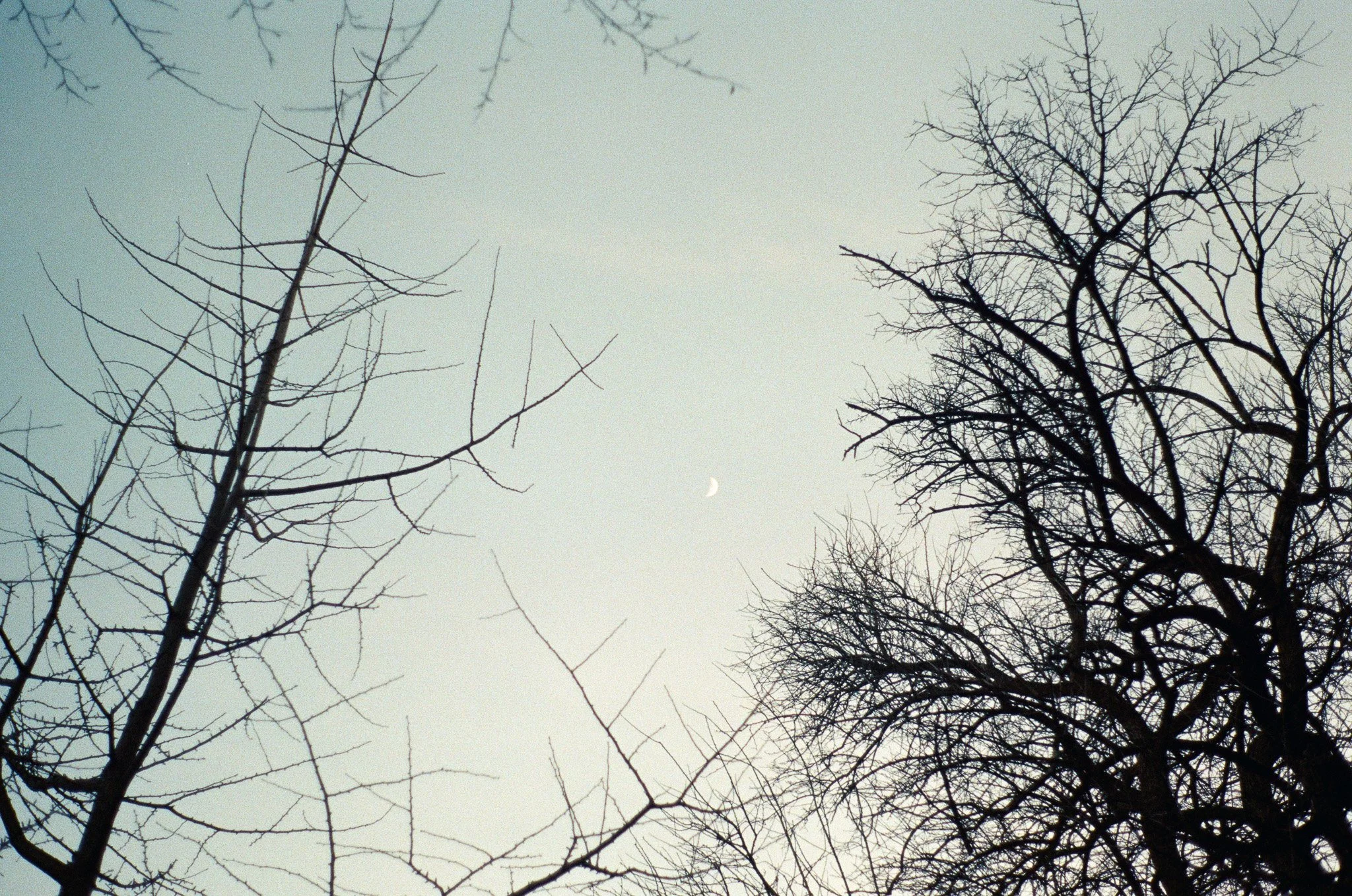 250118 Winter Home Brooklyn Adirondacks 4.jpg