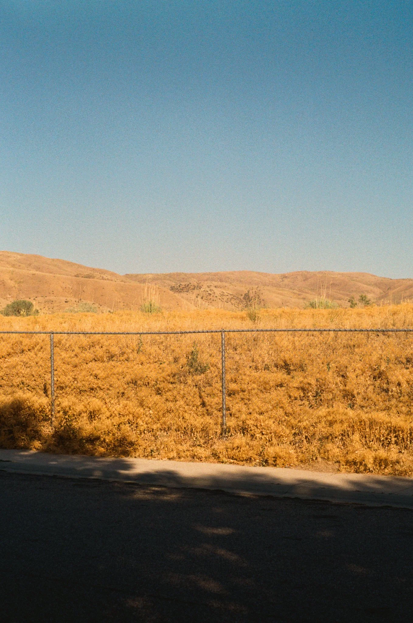 250810 Film Idaho River Home_002.jpg