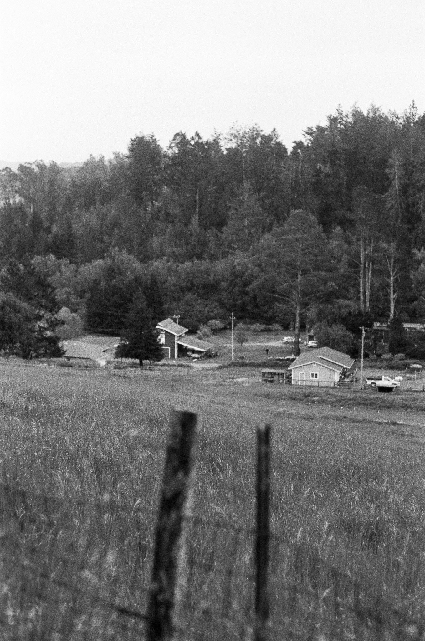 250417 Film Sebastopol Retreat 56.jpg