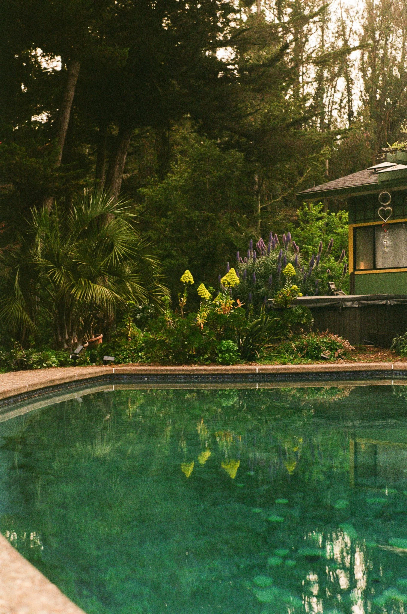 250416 Film Sebastopol Retreat 8.jpg