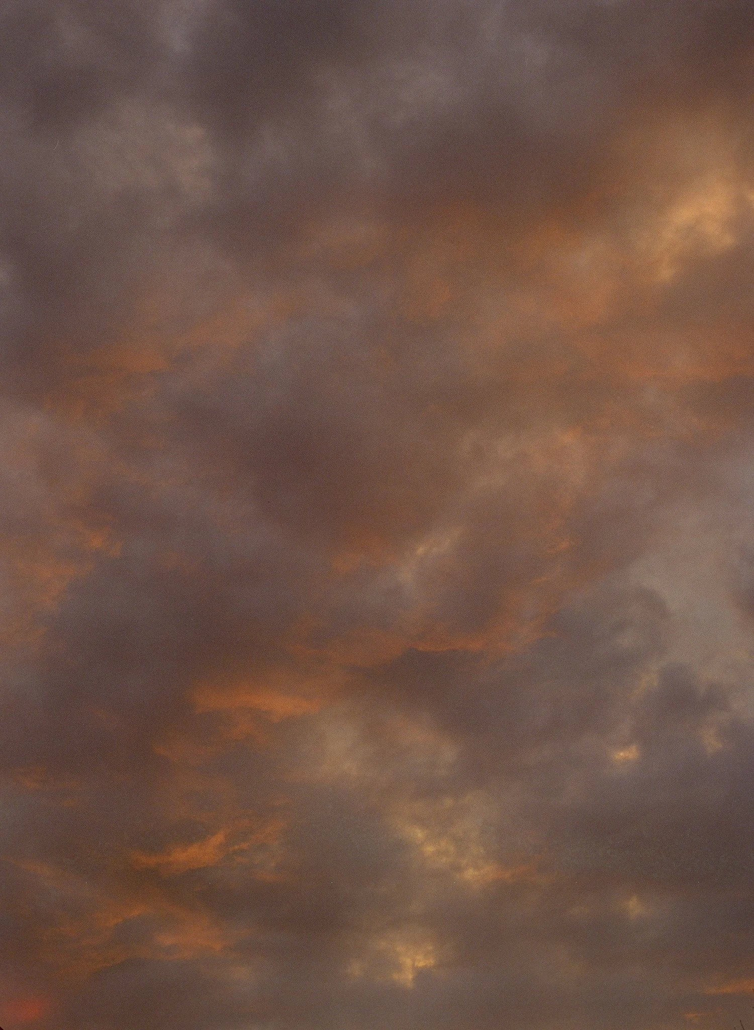 250201 Film Brooklyn Winter_013.jpg