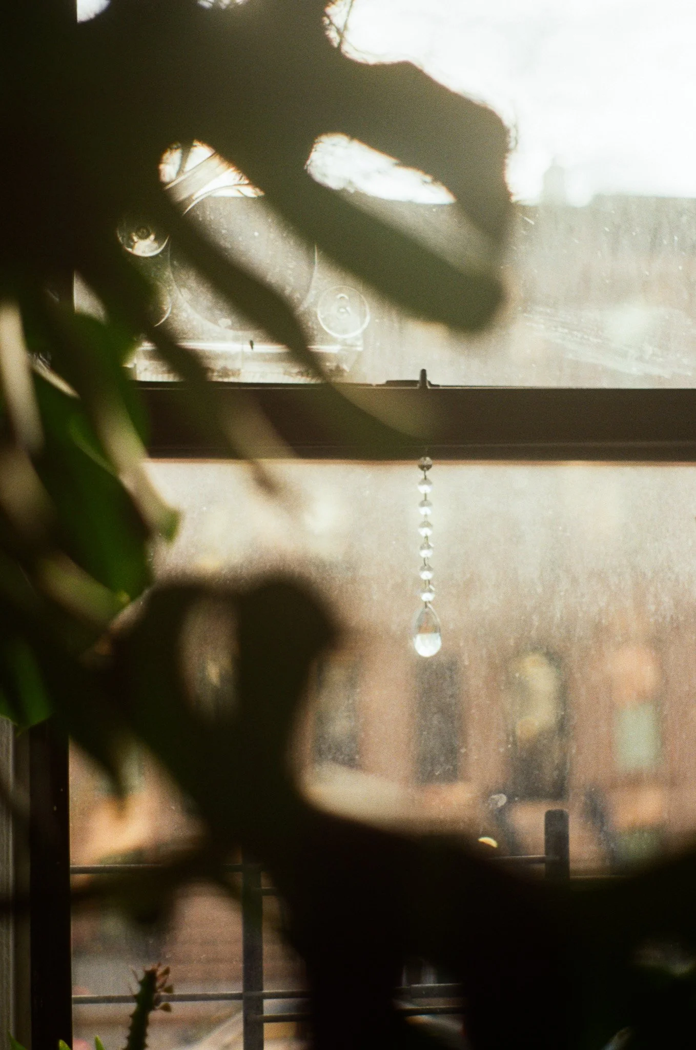 250328 Film Home Brooklyn Kiki 5.jpg