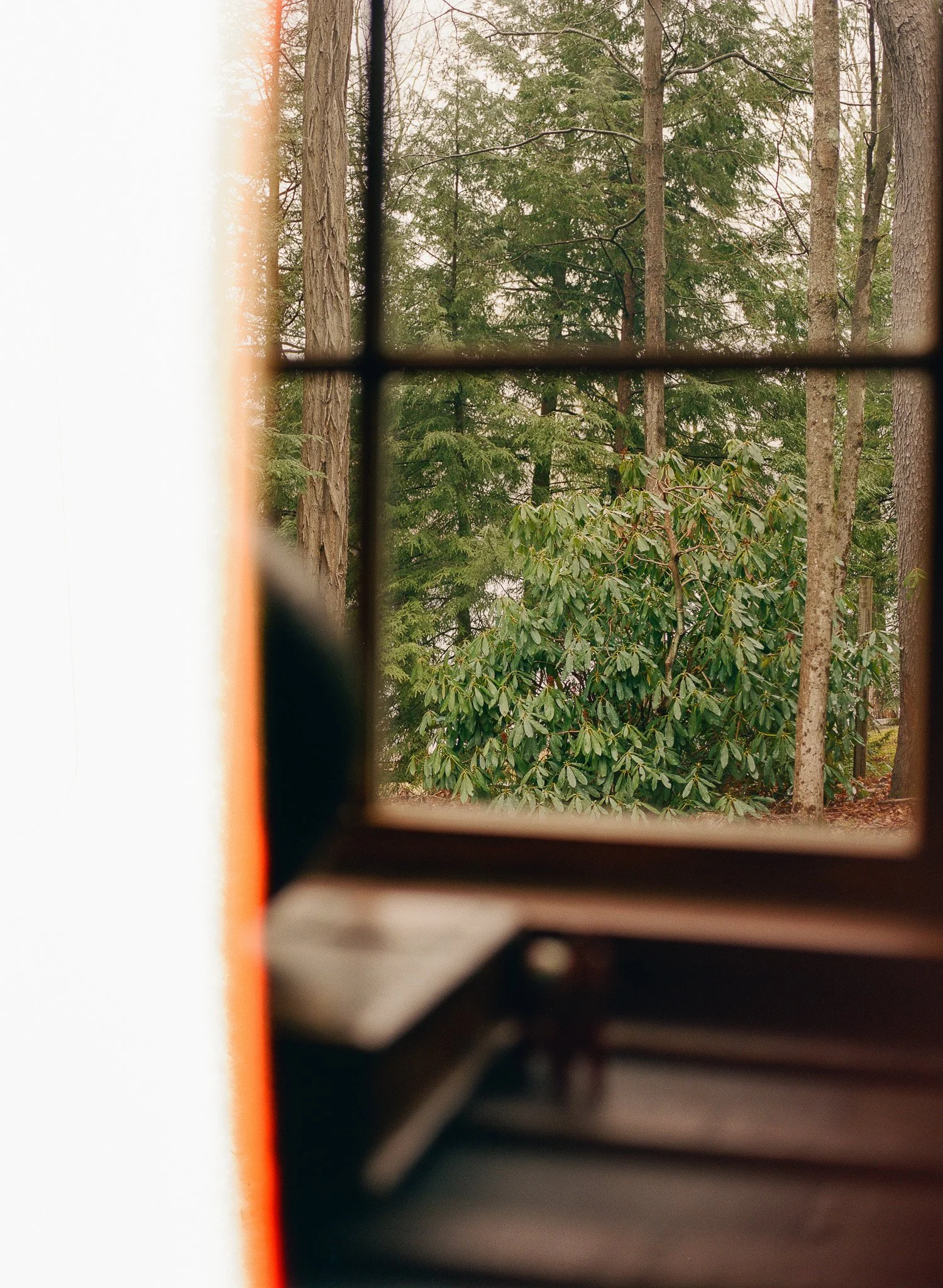 250401 Film Upstate Medium Format 10.jpg