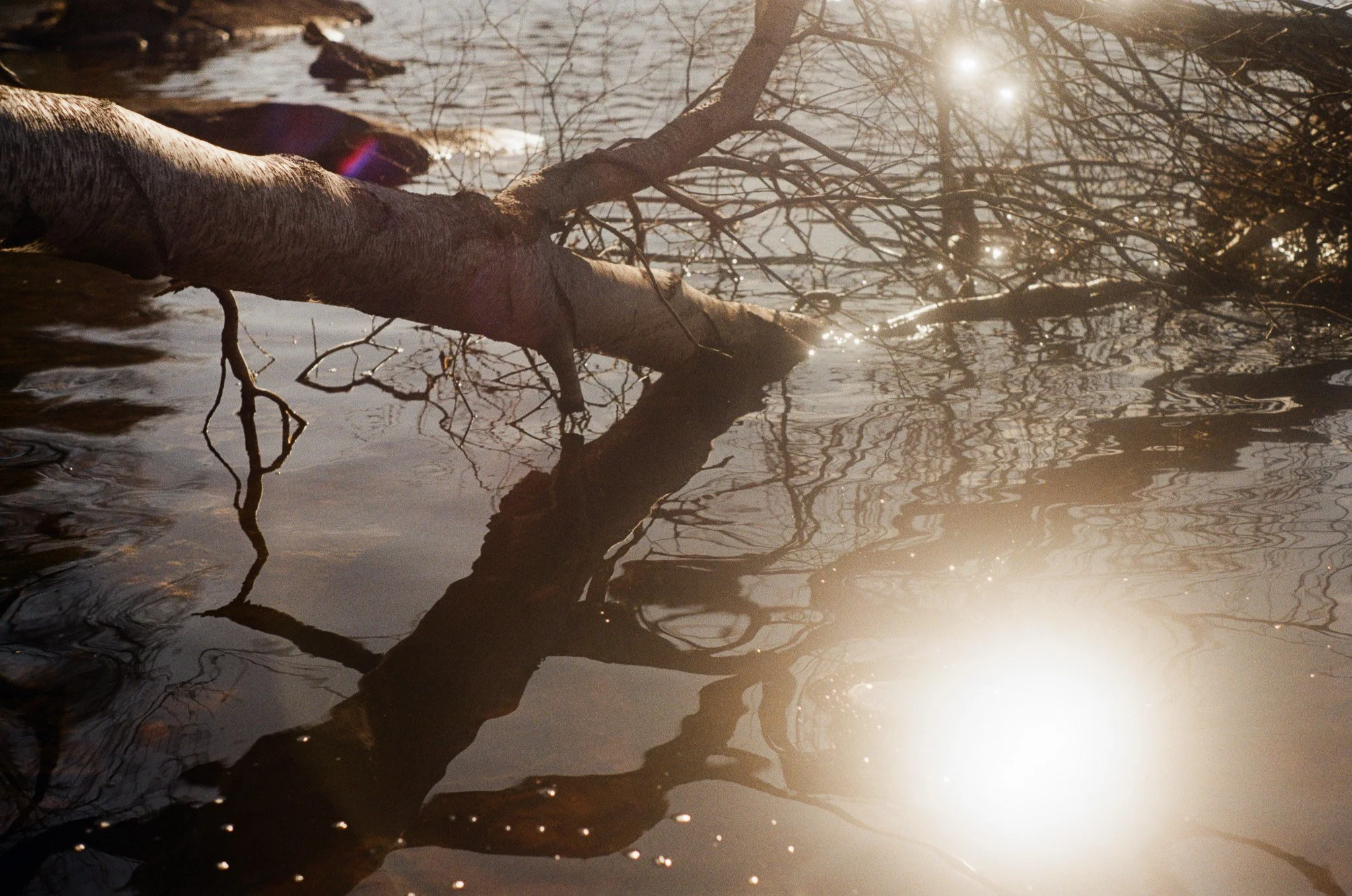 250402 Film Upstate NY Millie Kiki 26.jpg