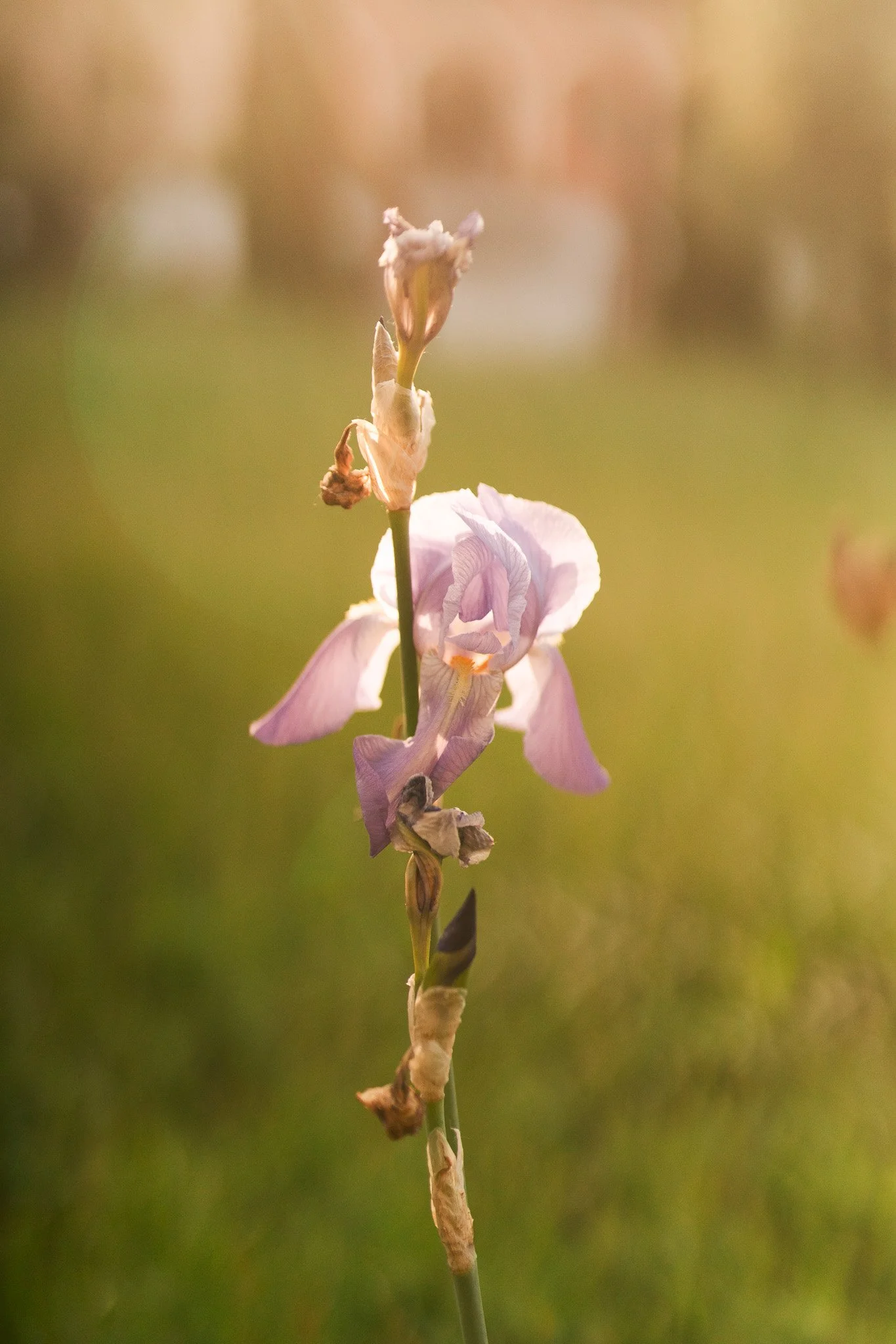 220510 Trust and Travel Tuscany Retreat Villa Lena 177.jpg