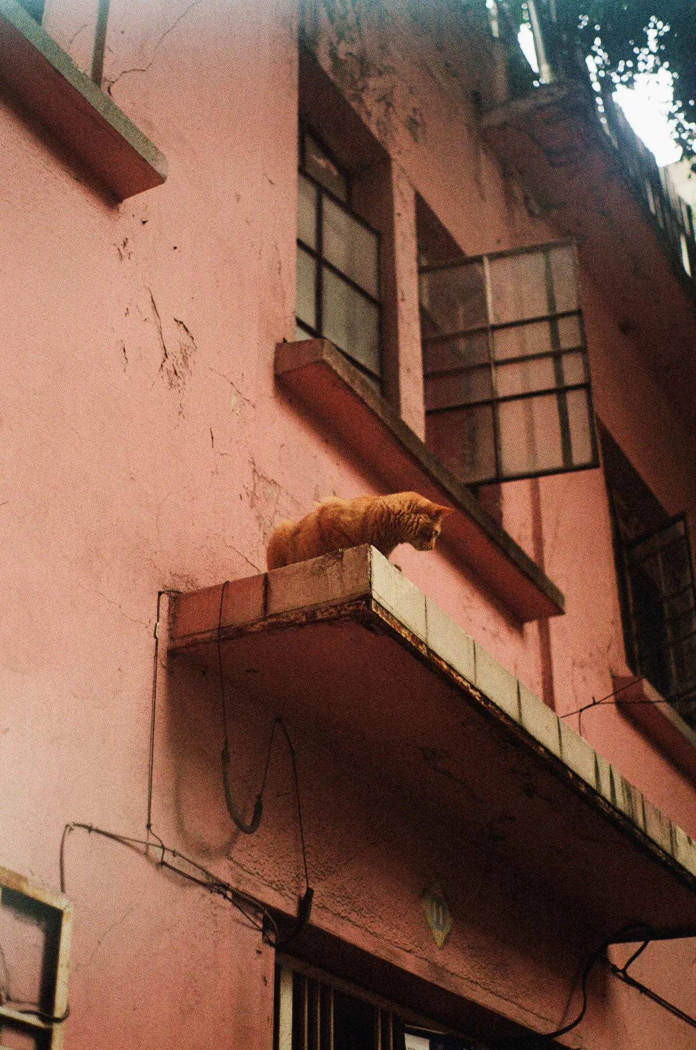 250615 Film Mexico City 14.jpg