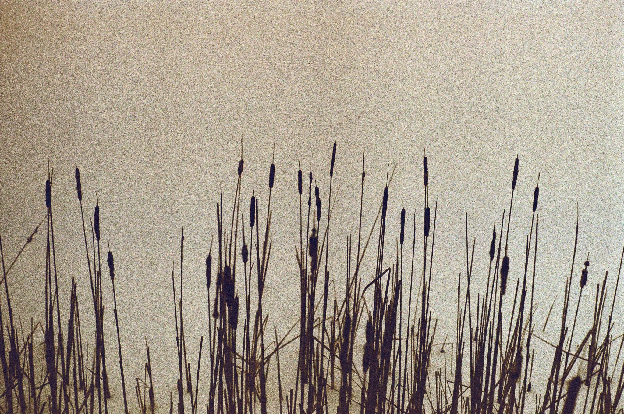 250118 Winter Home Brooklyn Adirondacks 24.jpg