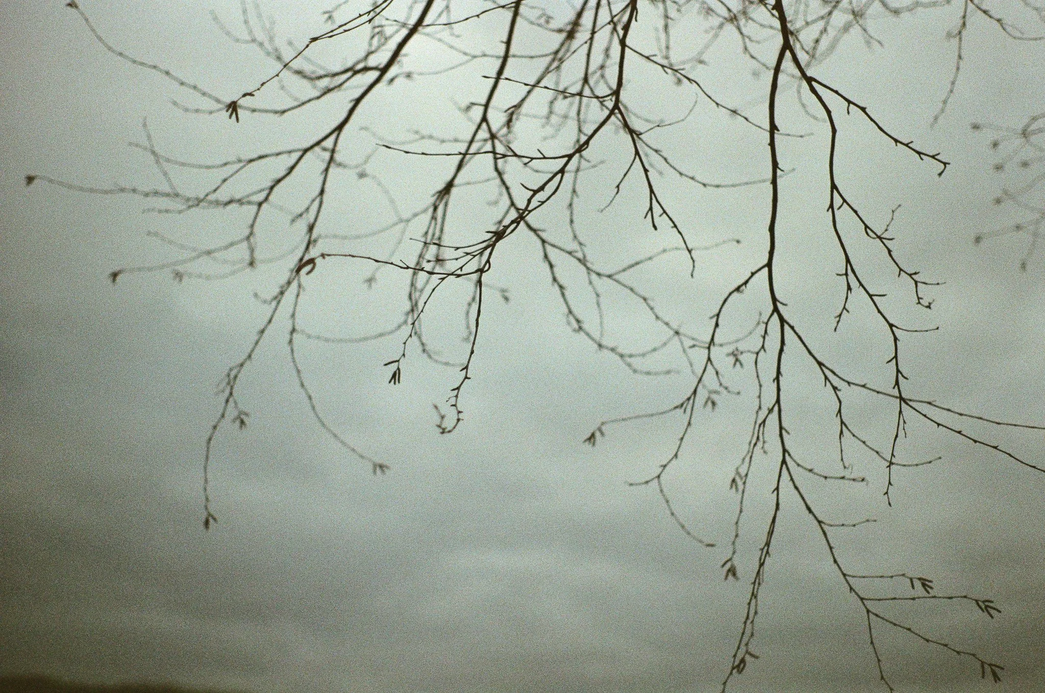 250118 Winter Upstate 1.jpg