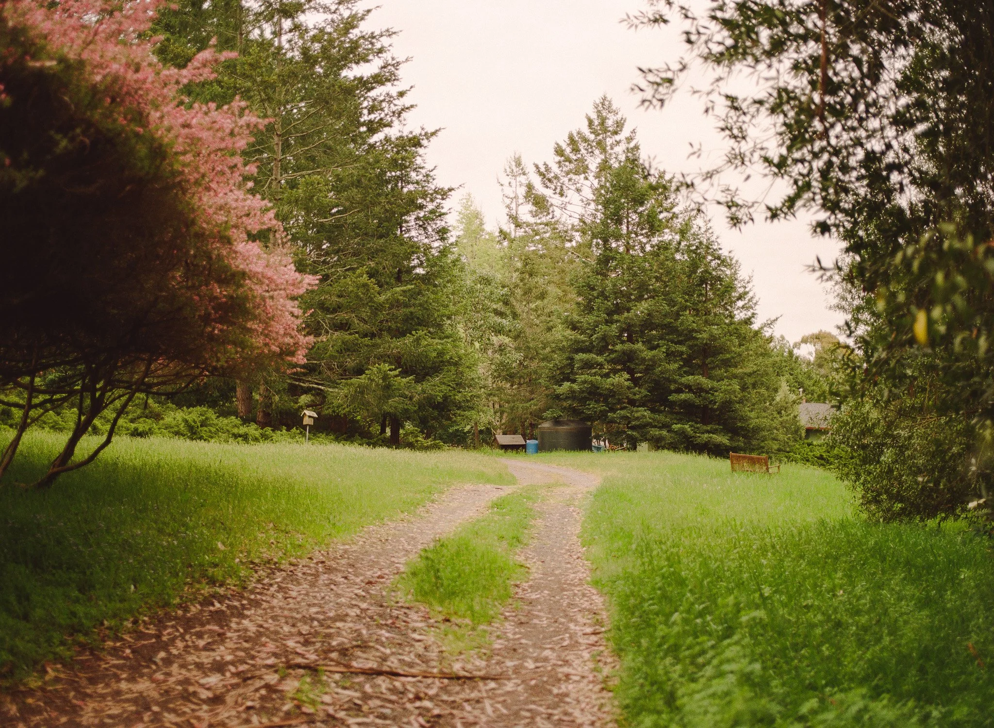 250417 Film Medium Format Sebastopol Retreat 33.jpg