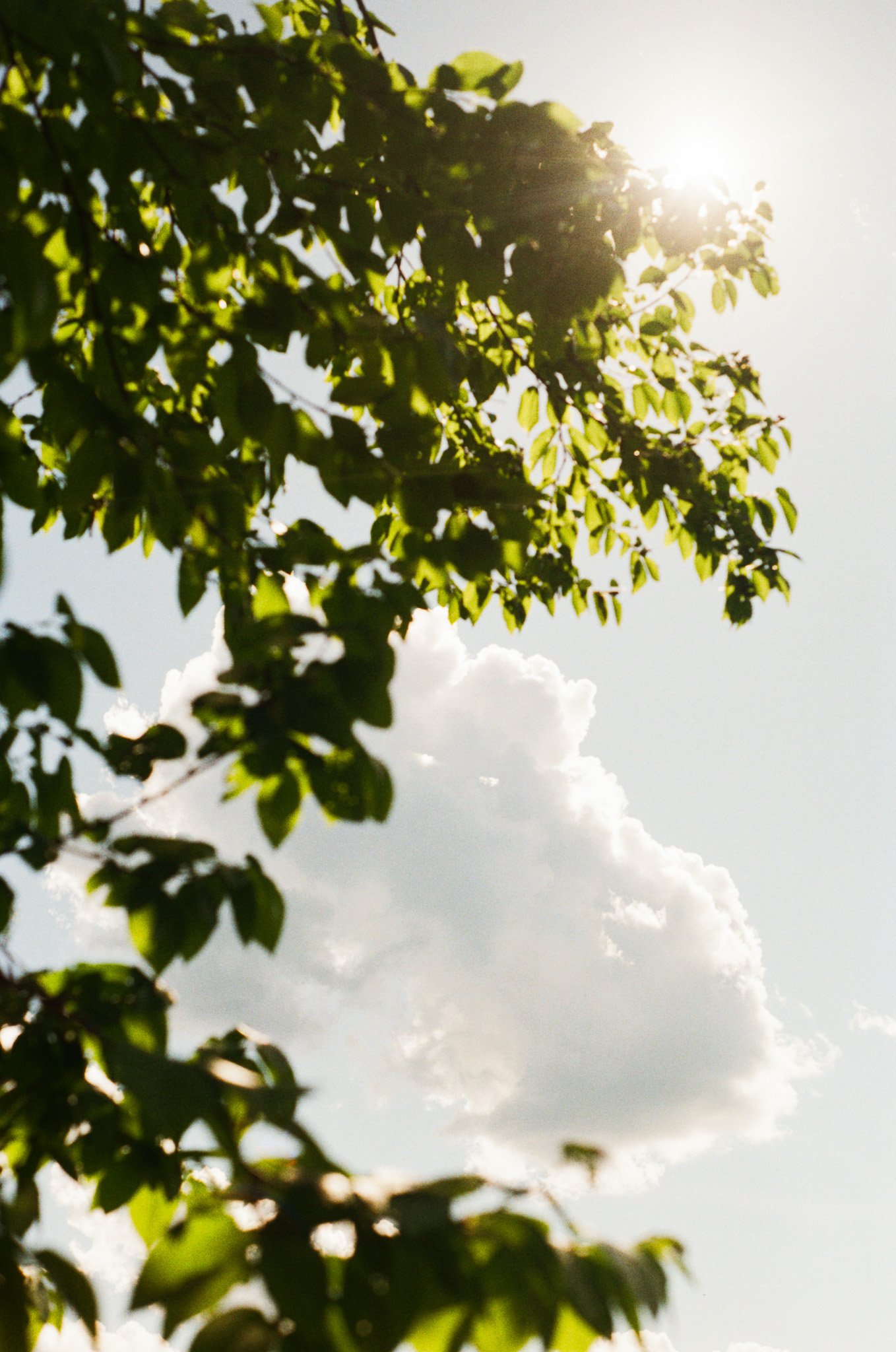 250501 Film Memorial Day Upstate NY 3.jpg