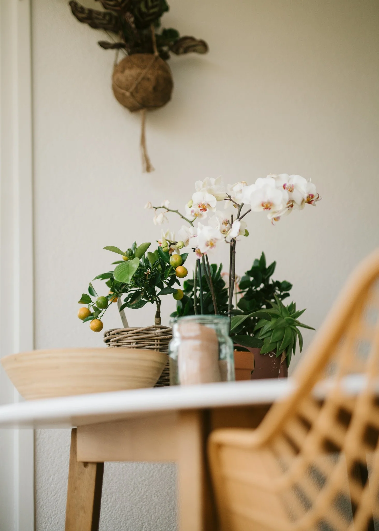 220506 Netherlands w Neri Mau Ori_016.jpg