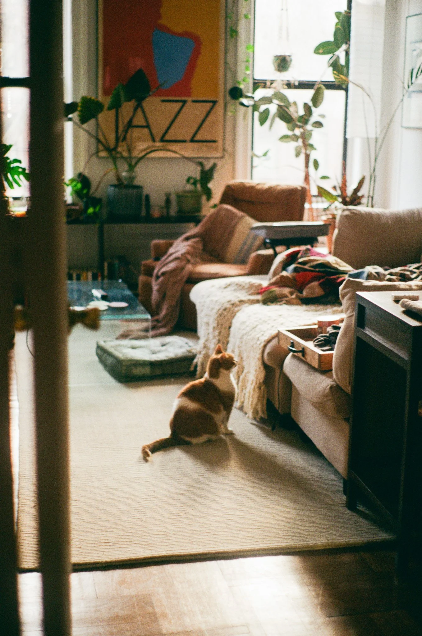 250328 Film Home Brooklyn Kiki 3.jpg