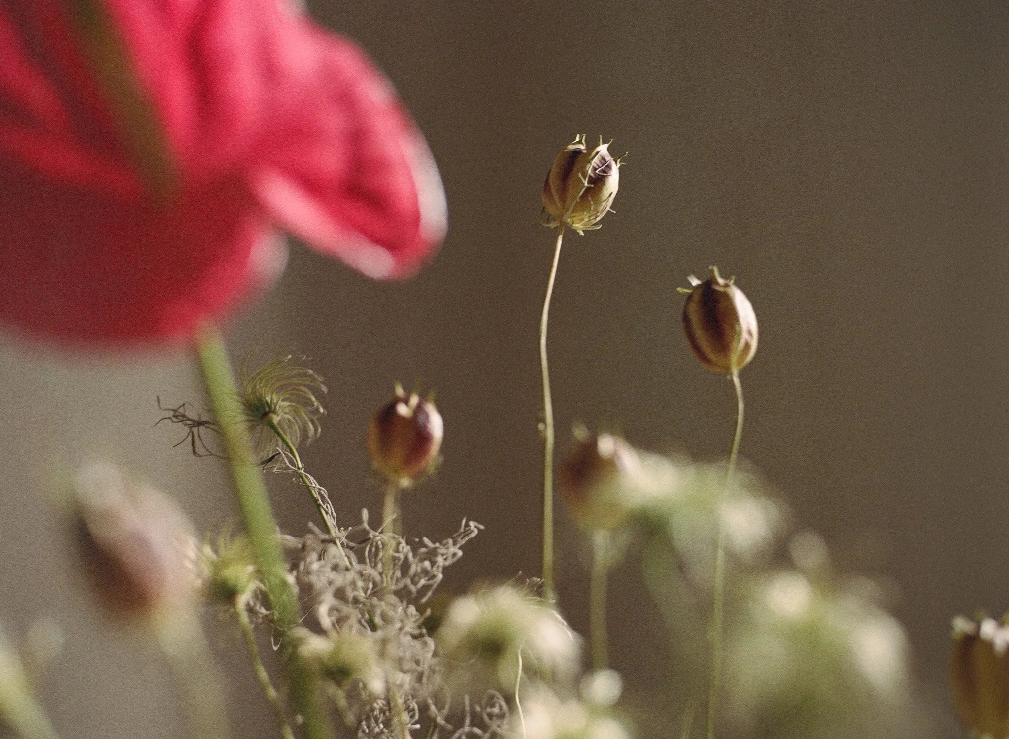 250312 Film Annie Flowers_010.jpg