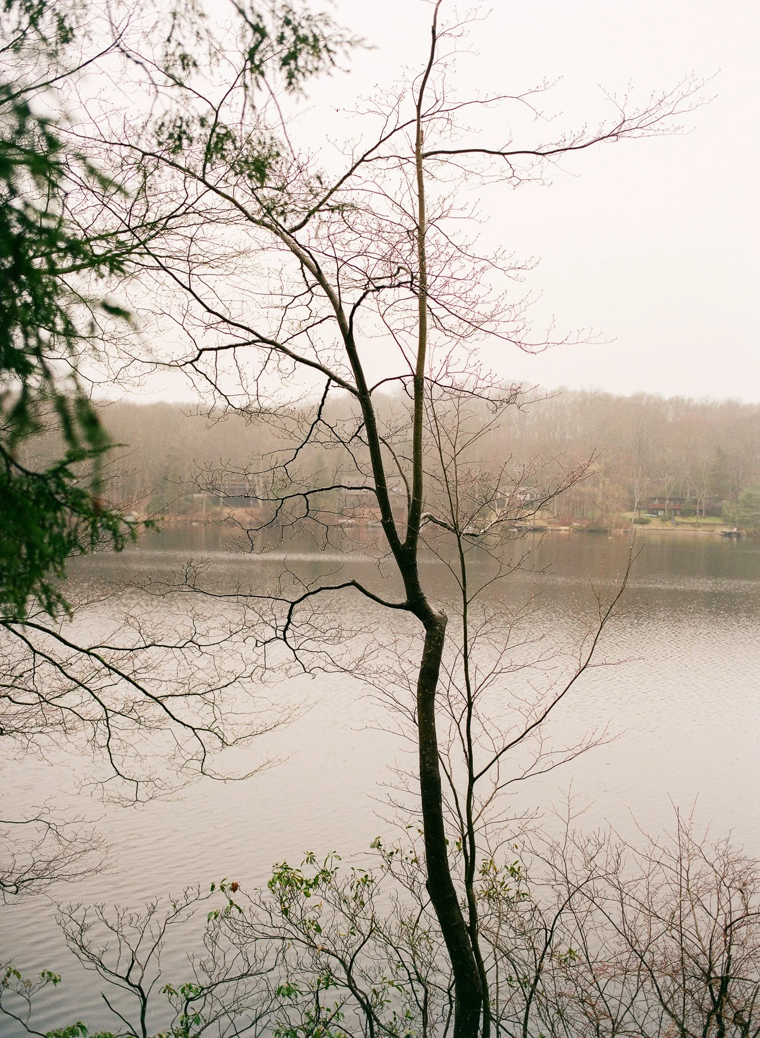 250401 Film Upstate Medium Format 9.jpg