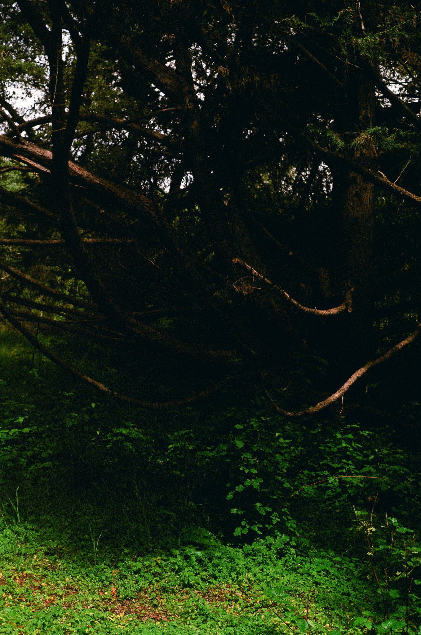 250417 Film Sebastopol Retreat 8.jpg