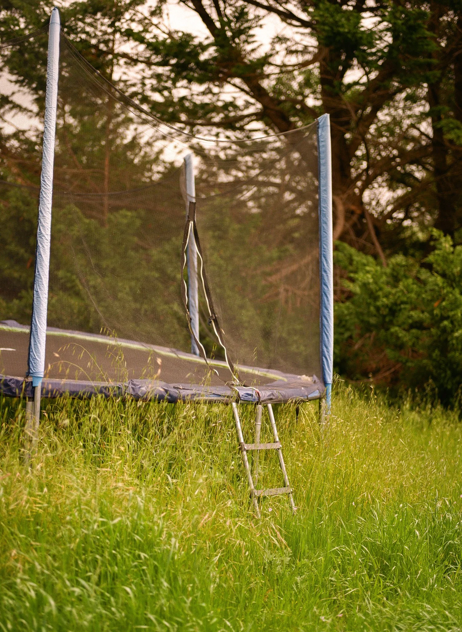 250417 Film Medium Format Sebastopol Retreat 12.jpg