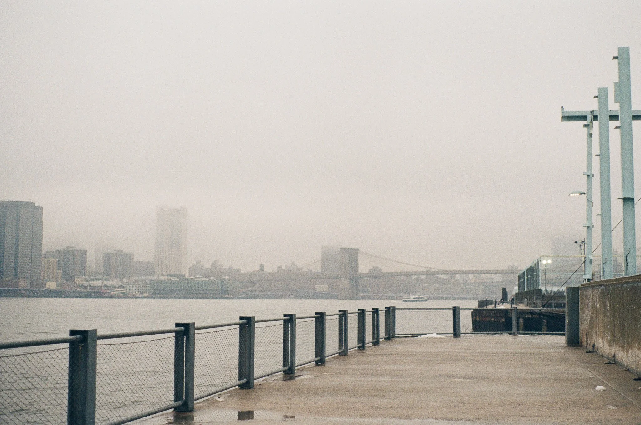 250215 Film Sofia Ellen Waterfront Orchids 24.jpg