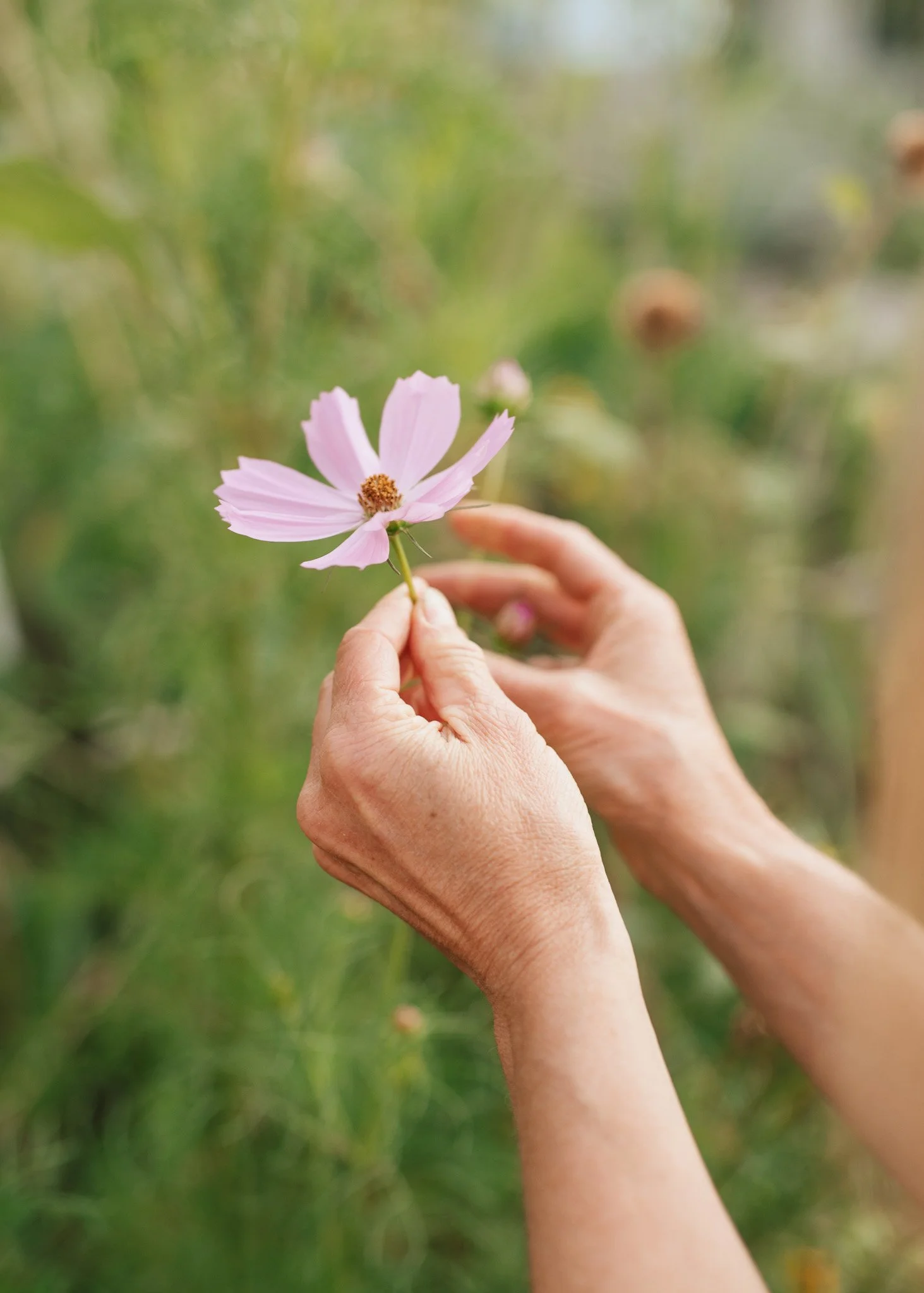 210902 Jenelle Carberry Wellness Garden_024 copy.jpg