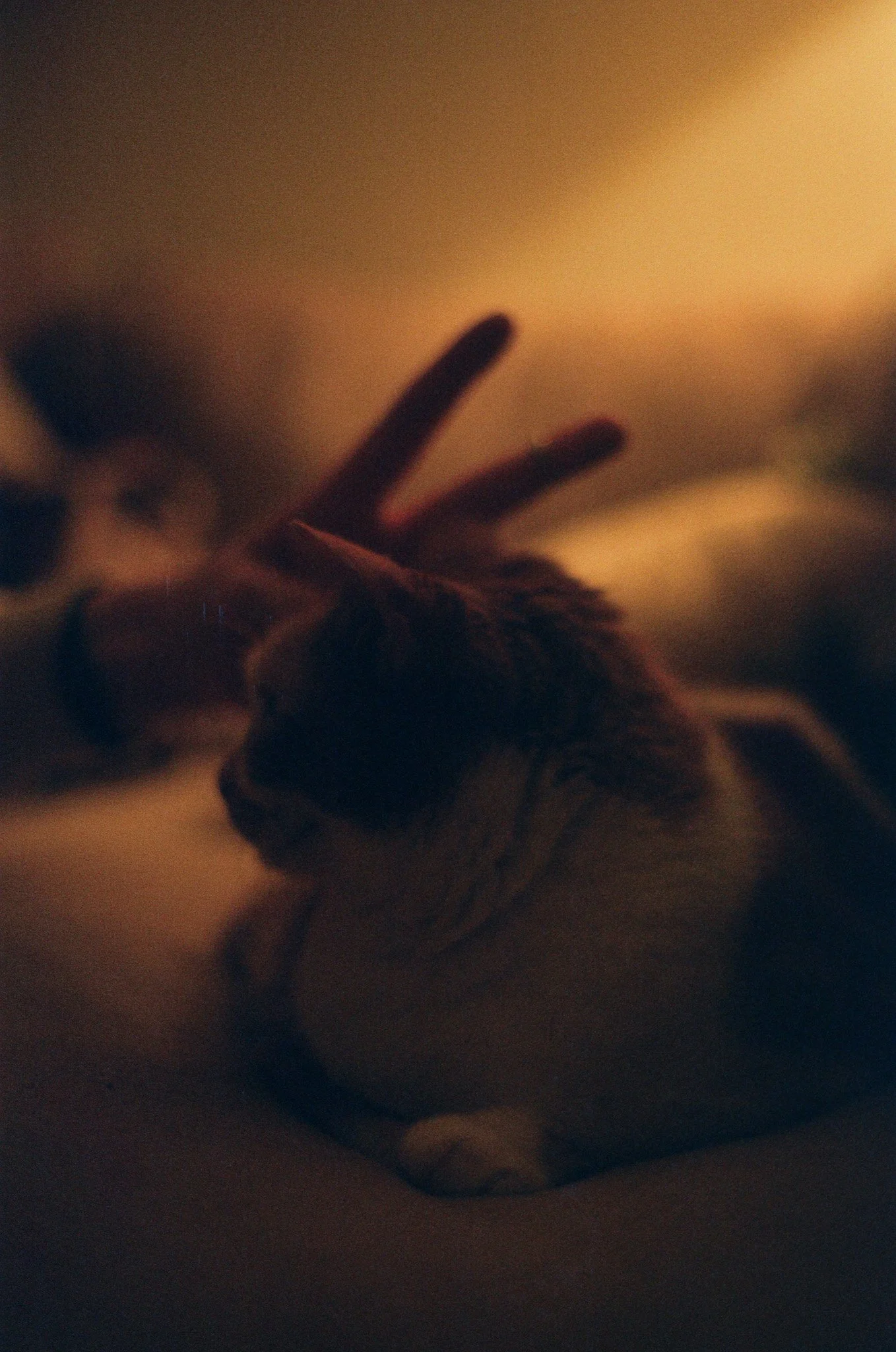 250409 Film Clarity Michael Kiki Home 1.jpg