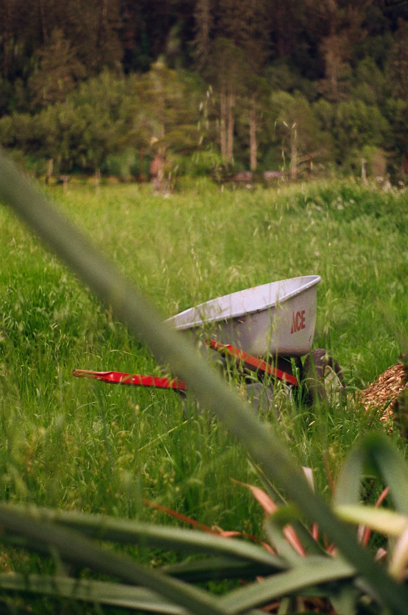 250416 Film Sebastopol Retreat 11.jpg