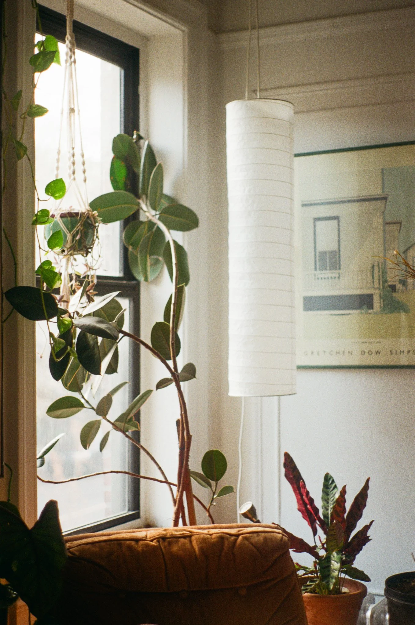 250328 Film Home Brooklyn Kiki 4.jpg