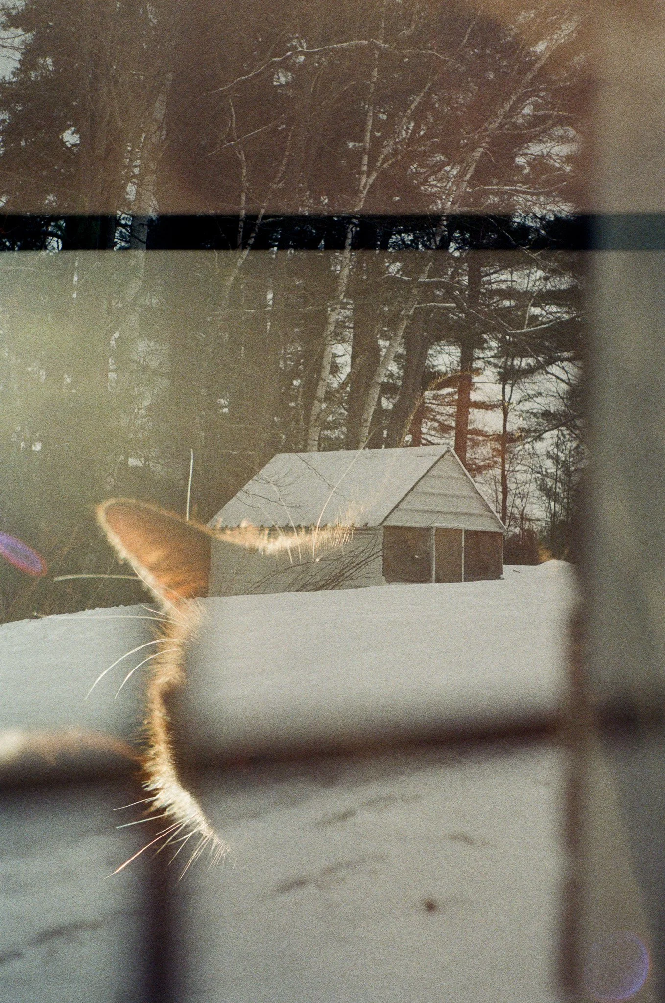 250118 Winter Home Brooklyn Adirondacks 18.jpg